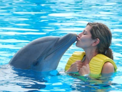 delfin a zena